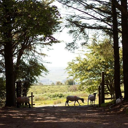 Wheal Tor Hotel & Glamping ليسكيرد المظهر الخارجي الصورة