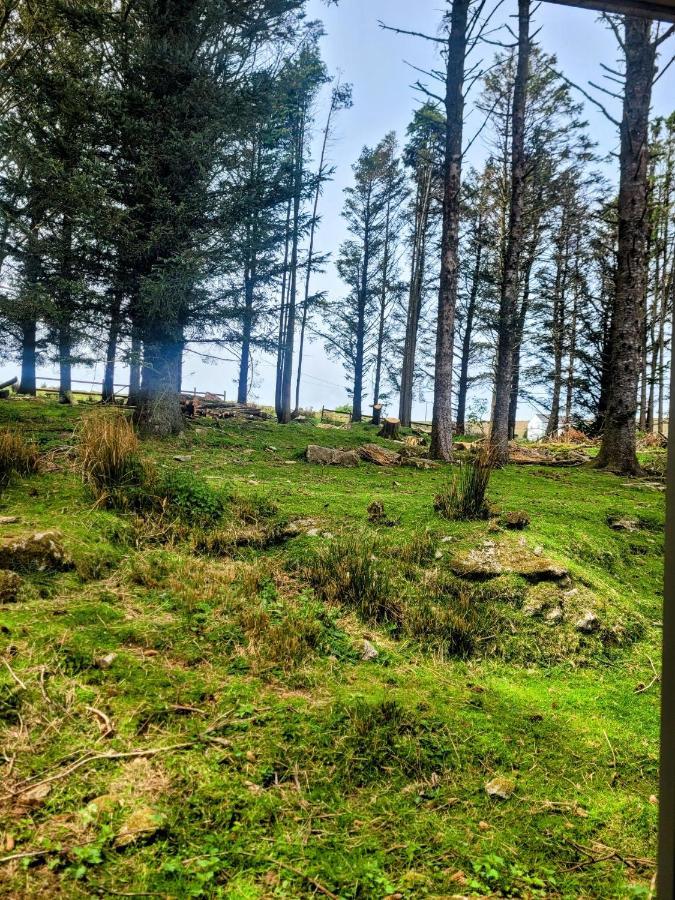 Wheal Tor Hotel & Glamping ليسكيرد المظهر الخارجي الصورة
